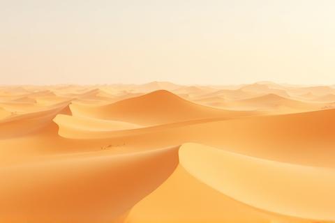 Desert landscape with dunes