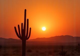 Desert sunset view